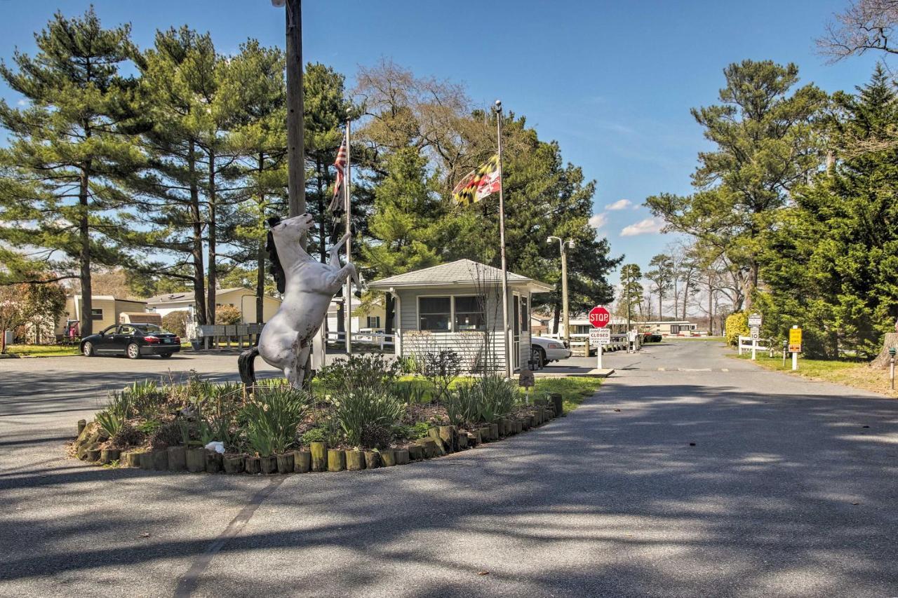 Dog-Friendly Ocean Pines Home With Pool Access! Berlin Eksteriør billede